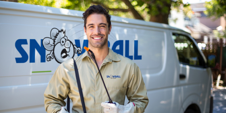 Snowball-technician-786x393-1 (1)